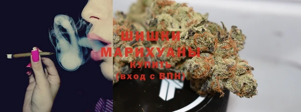 хмурый Волосово