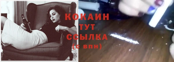 стафф Горняк