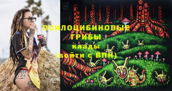 гидра Верхнеуральск
