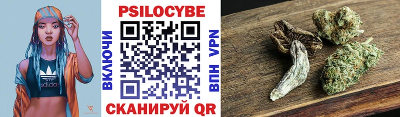 закладки  Дубовка  Псилоцибиновые грибы ЛСД 