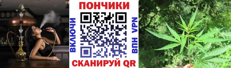 купить   Дубовка  Каннабис ГИДРОПОН 